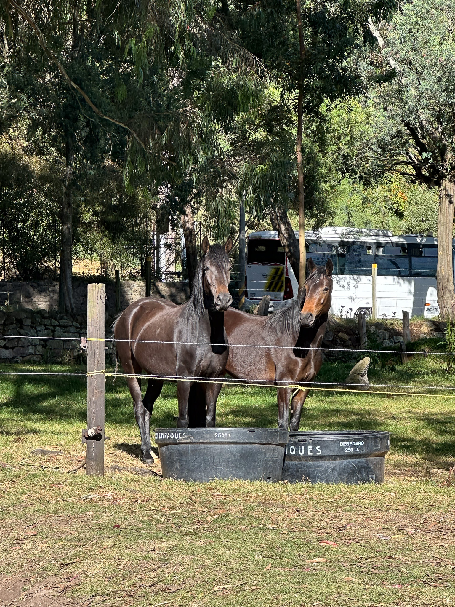 Taller Juan Pablo Saiz