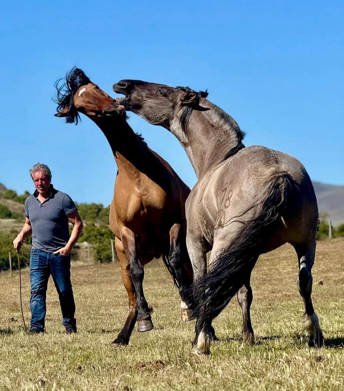 Jean François Pignon